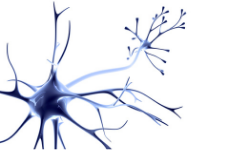  Facharzt für Neurologie (m/w/d)?