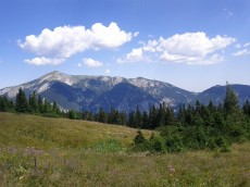 Einblick1