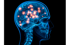 Leitender Oberarzt für Neurologie (m/w/d)
