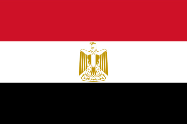 flagge