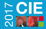 5th International Symposium on Complications in GI Endoscopy 5th International Symposium on Complications in GI Endoscopy