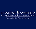 Keystone Logo