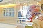 Arzt in Weiterbildung (w/m/d) für Neurologie