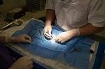 Chefarzt (m/w/d) Unfallchirurgie/Orthopädie Chefarzt (m/w/d) Unfallchirurgie/Orthopädie