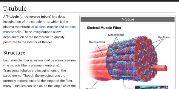 WikiMed-Medical-Encyclopedia-Screenshot