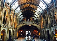 National history museum