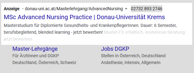 Google_Ads_Donau-Uni