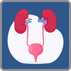 Nephrologie_Urologie_Symbol_GI_Blau_230px